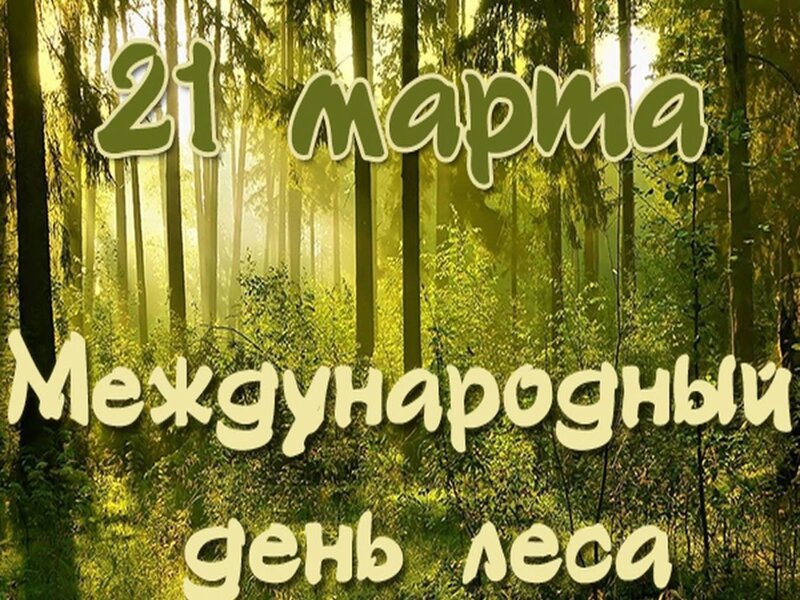 Международный день леса..